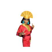 disfraz kuzco casero